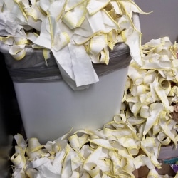 Mega Stream Aftermath:  The Trash Can