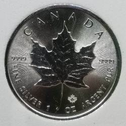 2018 Silver Maple B.U.