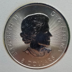 2013 Canada Silver Bison 1.25ozt