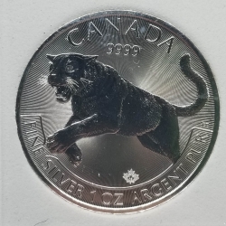 2016 Canada Predator - Cougar