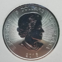 2016 Canada Predator - Cougar