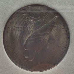 1923 Peace Silver Dollar