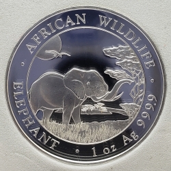 2019 1oz Somali African Elephant